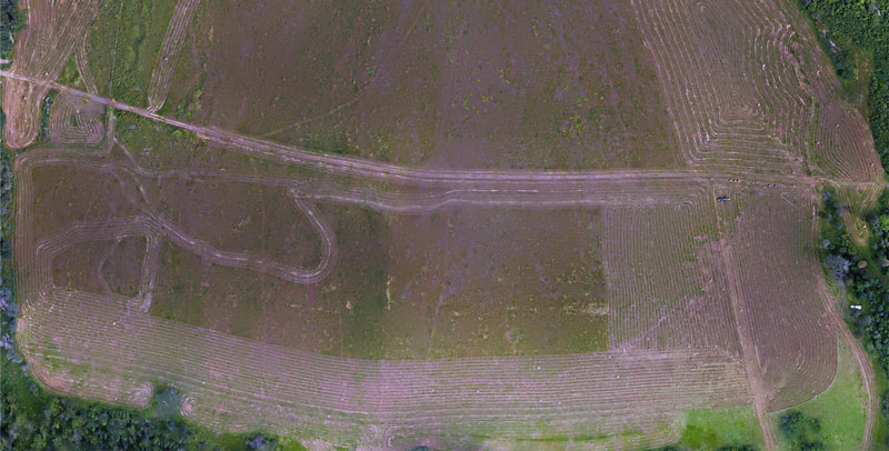 Agricultural Survey